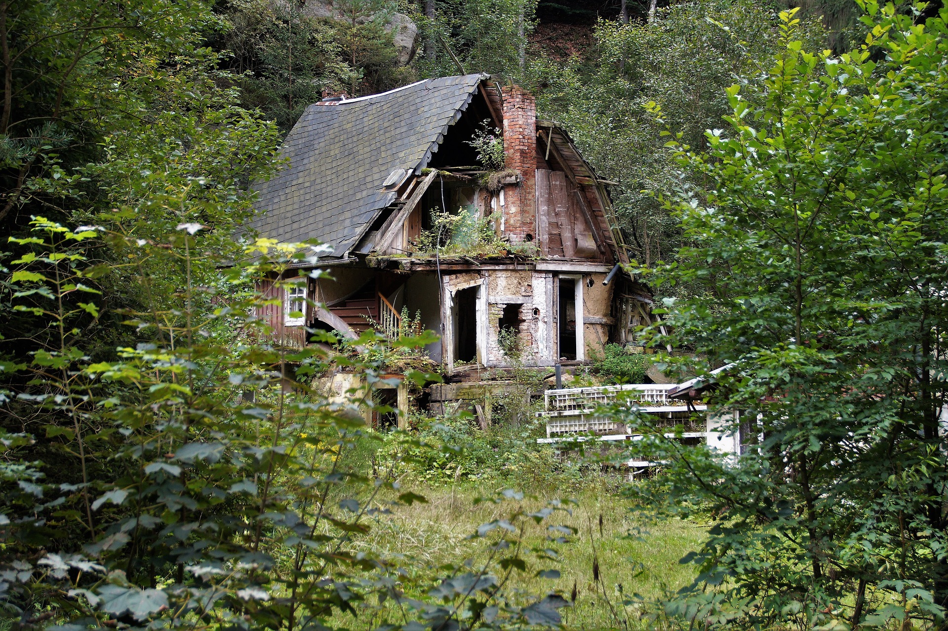 Заброшенное здание в лесу